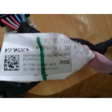Електропроводка верхньої панелі дверей задньої лівої 1032881-80-F